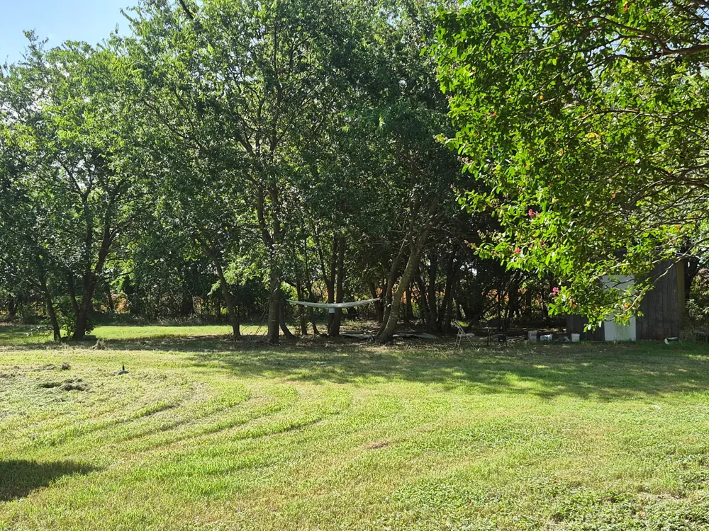 1120 Battle Lake Road Hallsburg, TX 76682