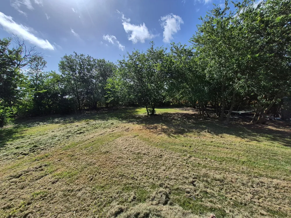 1120 Battle Lake Road Hallsburg, TX 76682