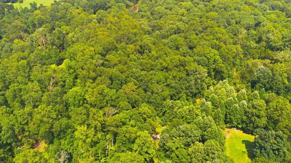 0 Strawberry Hill Rd Goodlettsville, TN 37072
