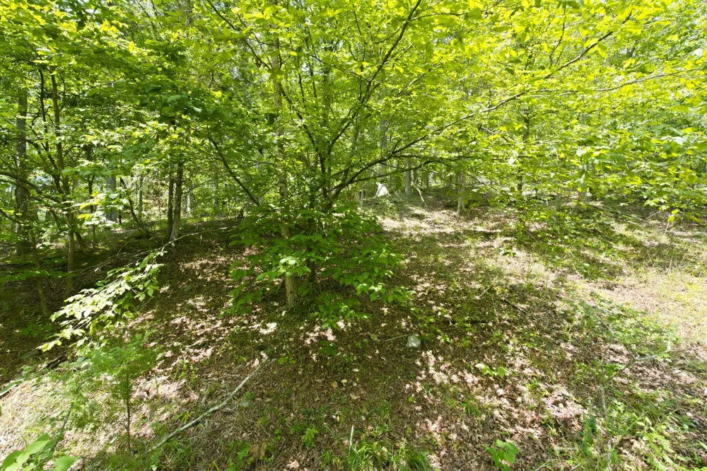 0 Strawberry Hill Rd Goodlettsville, TN 37072