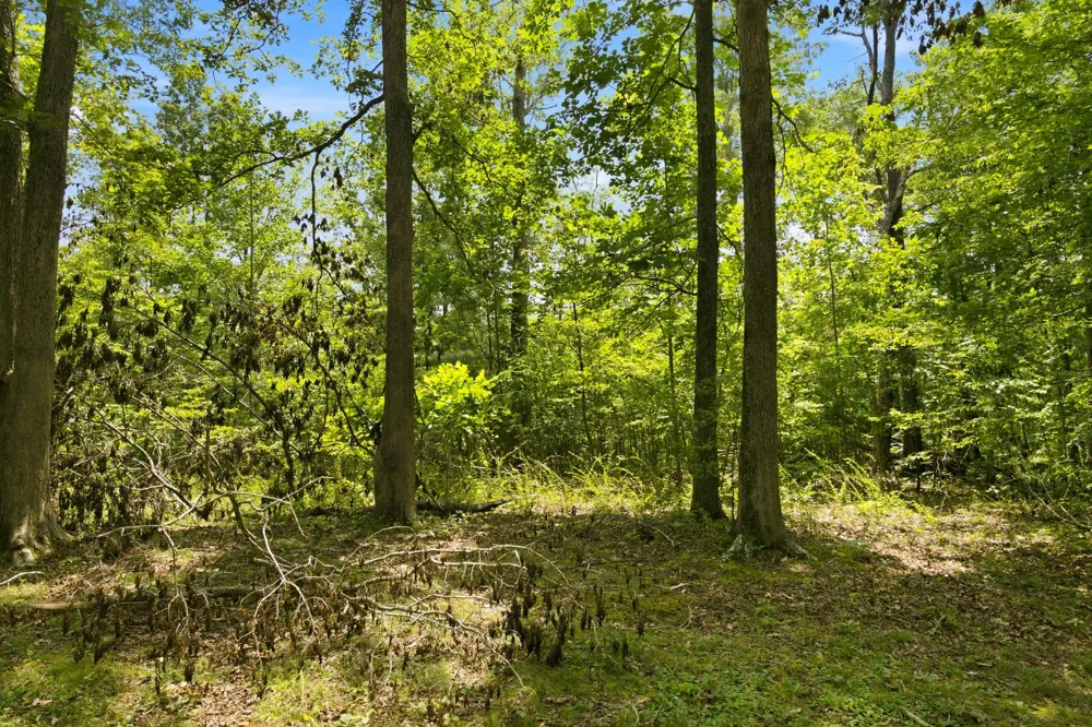 0 Strawberry Hill Rd Goodlettsville, TN 37072