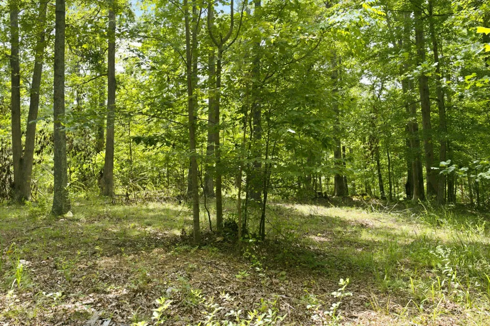 0 Strawberry Hill Rd Goodlettsville, TN 37072