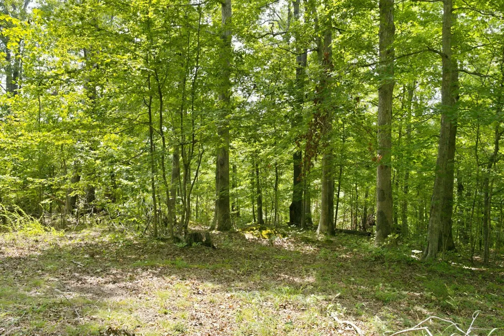 0 Strawberry Hill Rd Goodlettsville, TN 37072