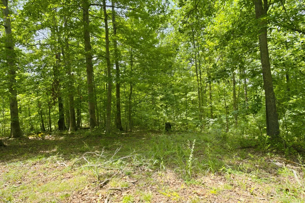 0 Strawberry Hill Rd Goodlettsville, TN 37072