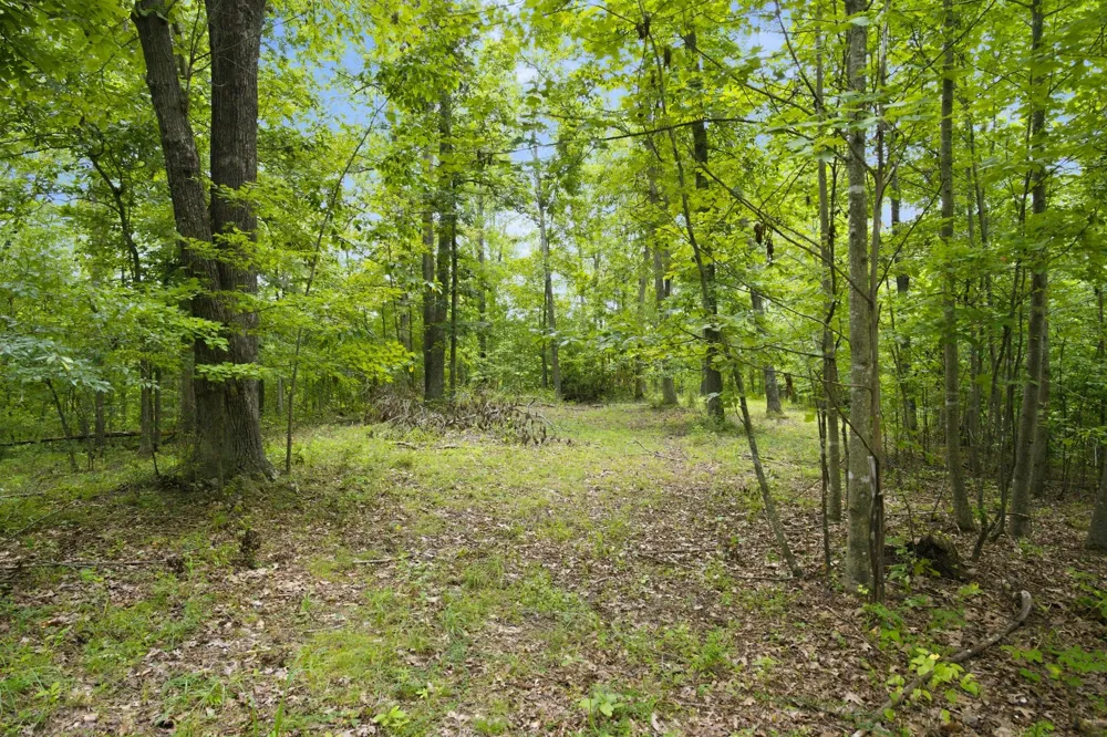 0 Strawberry Hill Rd Goodlettsville, TN 37072