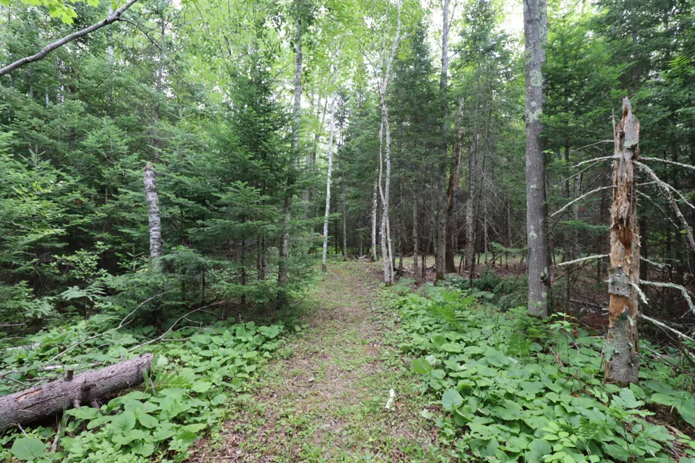 28395 County Highway G Ashland, WI 54806