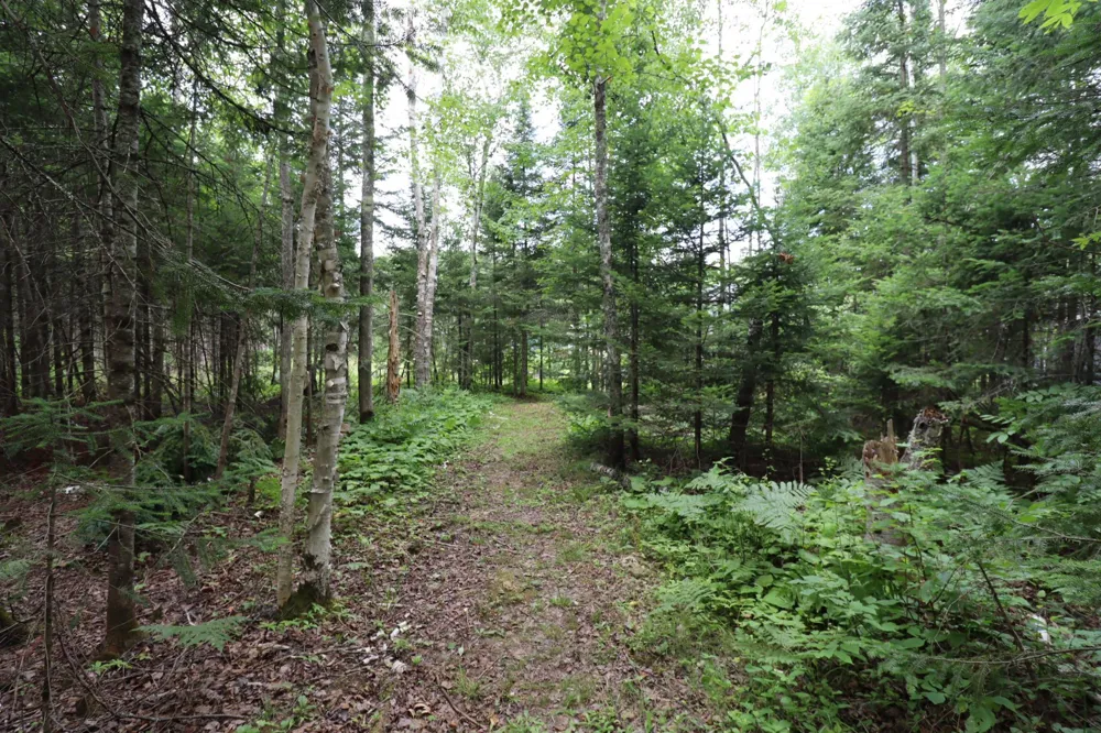 28395 County Highway G Ashland, WI 54806
