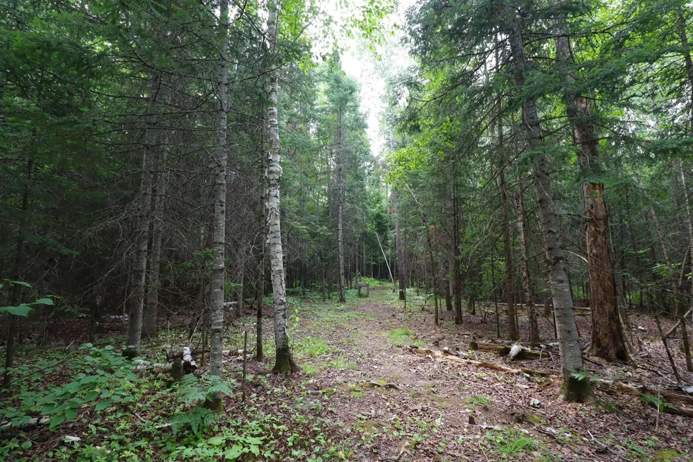 28395 County Highway G Ashland, WI 54806