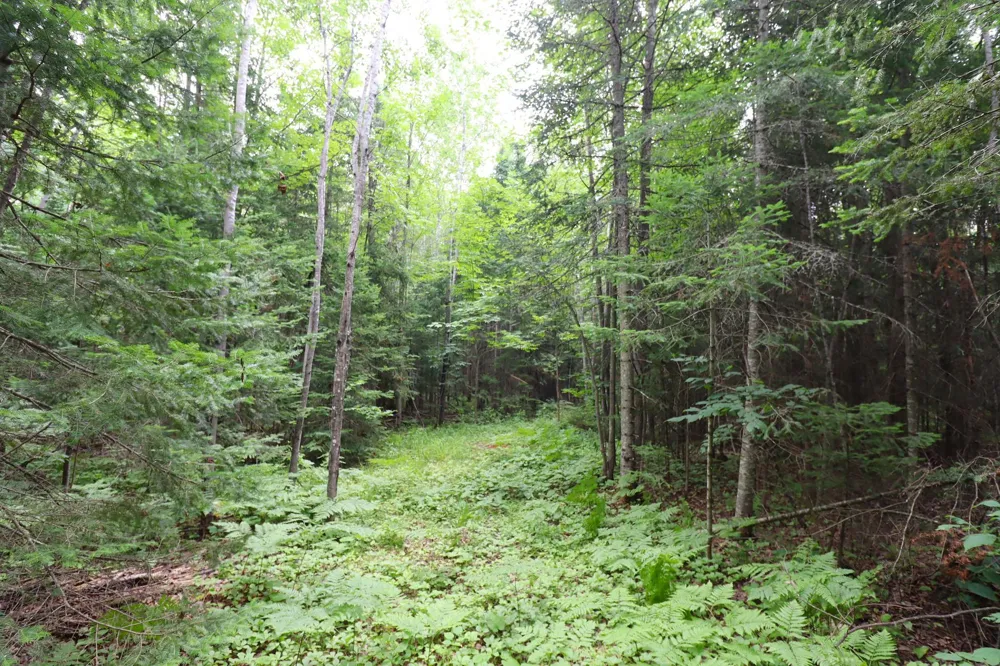 28395 County Highway G Ashland, WI 54806