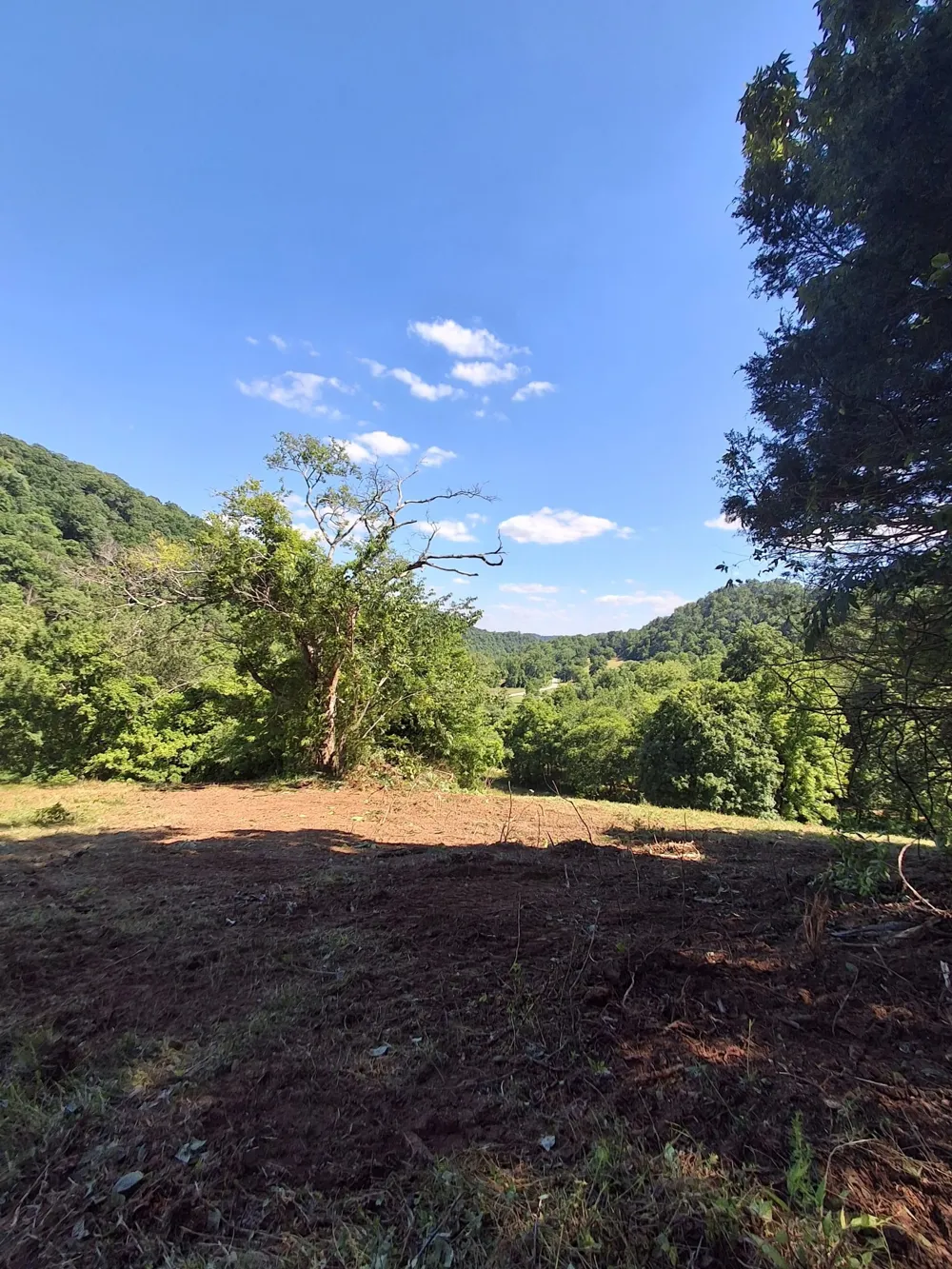 303 Little Creek Rd Pleasant Shade, TN 37145