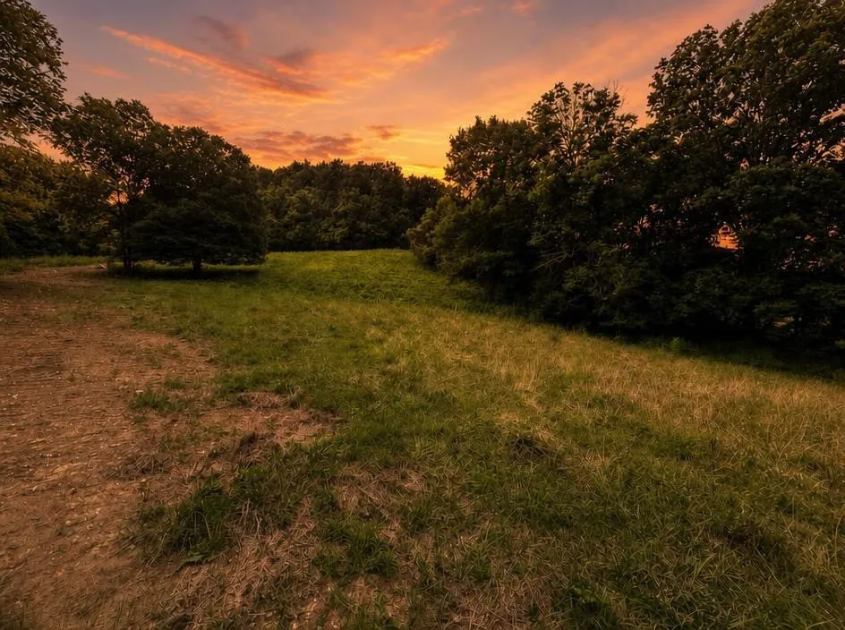 303 Little Creek Rd Pleasant Shade, TN 37145
