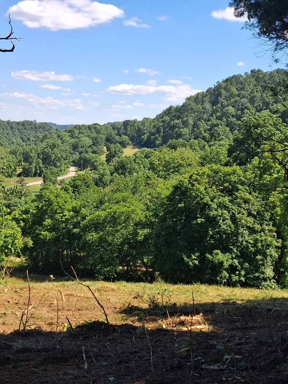 303 Little Creek Rd Pleasant Shade, TN 37145