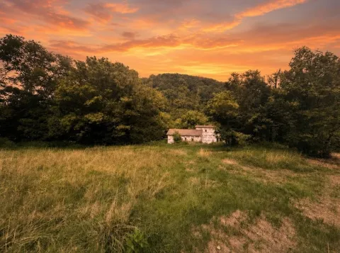 303 Little Creek Rd