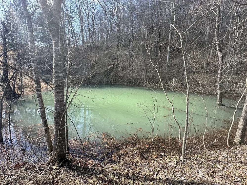 303 Little Creek Rd Pleasant Shade, TN 37145