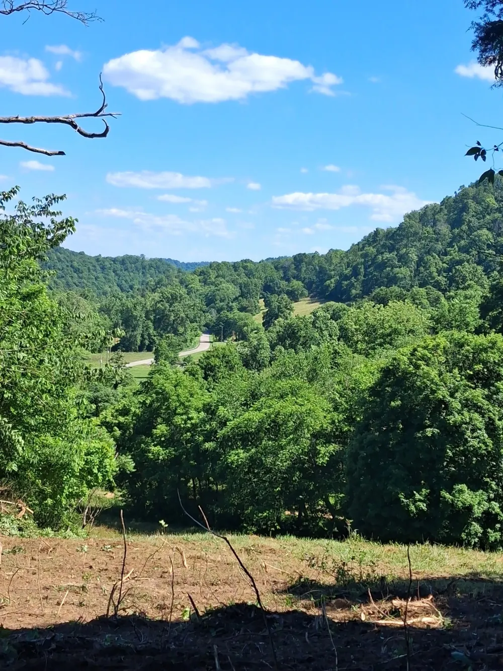 303 Little Creek Rd Pleasant Shade, TN 37145