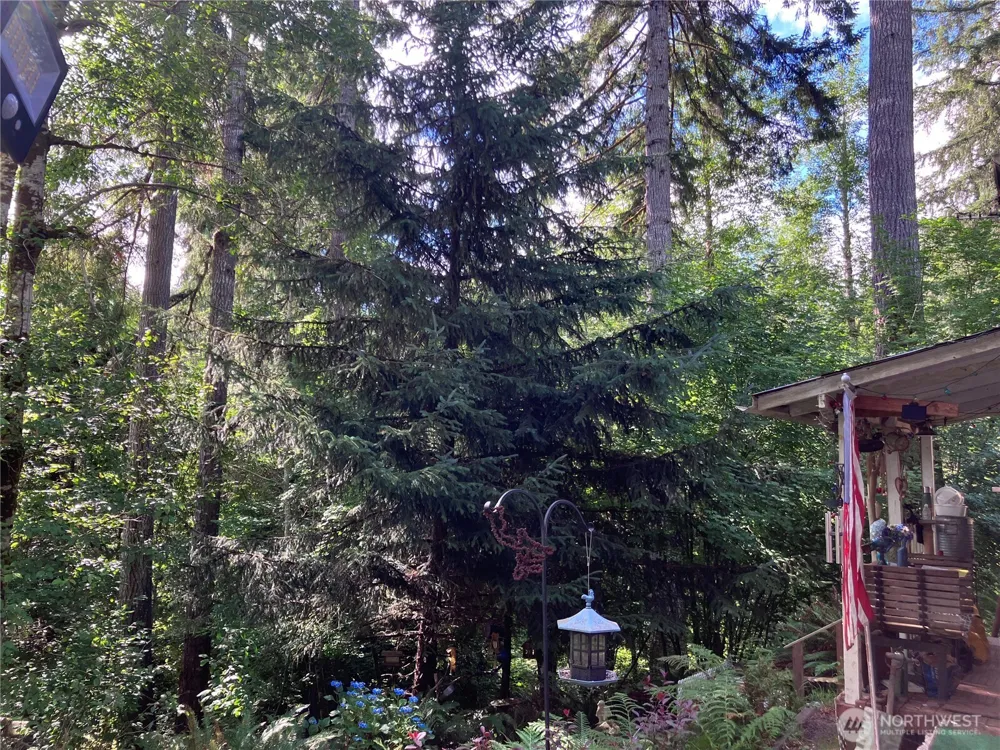 0 W Tyee Place Elma, WA 98541