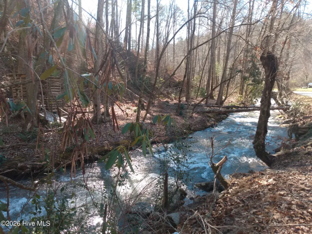 1412 Dicks Creek Road Whittier, NC 28789