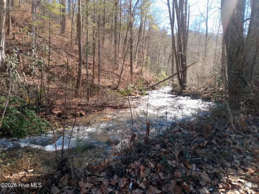 1412 Dicks Creek Road Whittier, NC 28789