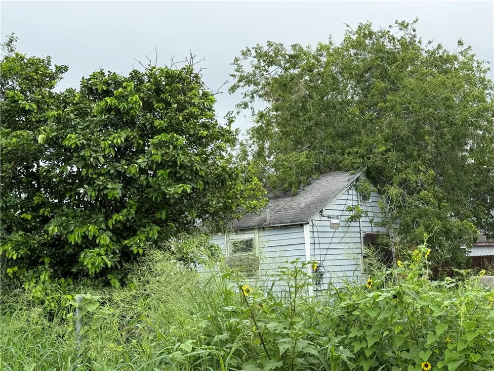 324 W Avenue B Robstown, TX 78380
