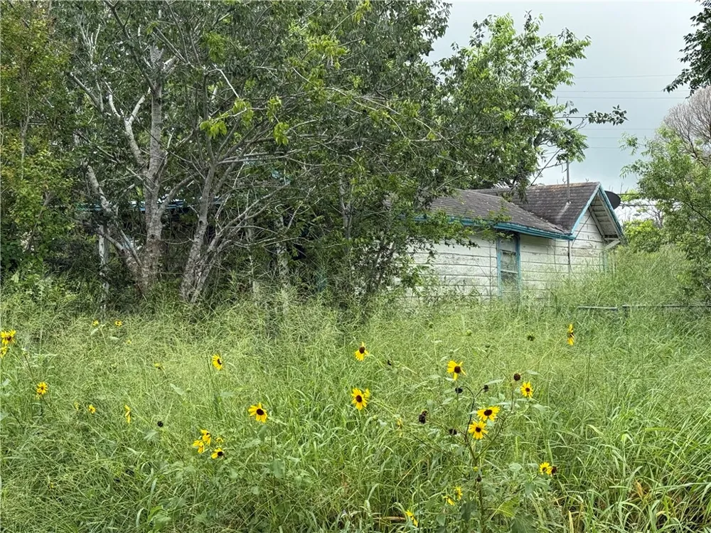 912 Ohio Street Robstown, TX 78380