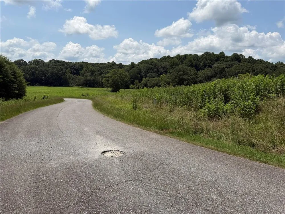 0 Middle Fork Lane Carnesville, GA 30662