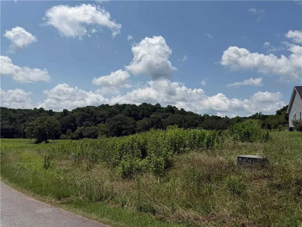 0 Middle Fork Lane Carnesville, GA 30662