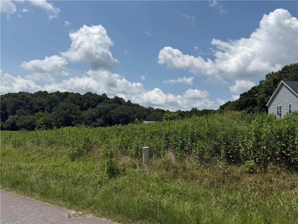 0 Middle Fork Lane Carnesville, GA 30662