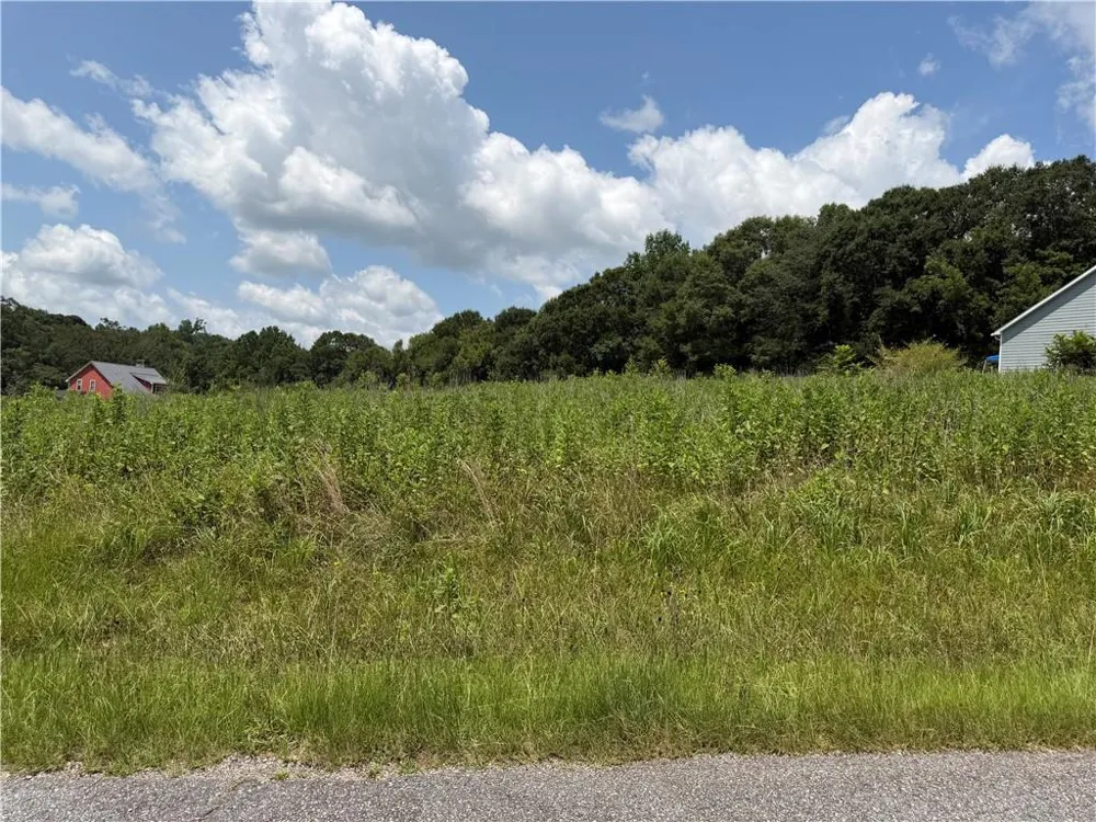 0 Middle Fork Lane Carnesville, GA 30662