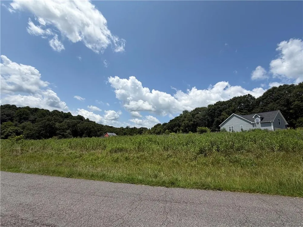 0 Middle Fork Lane Carnesville, GA 30662
