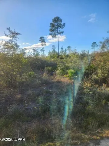 NW Hwy 167 County Road 167 Fountain, FL 32438