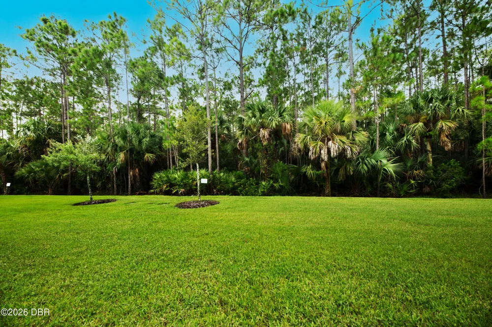 817 Pinewood Drive Ormond Beach, FL 32174