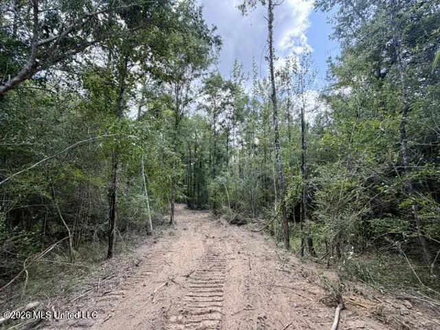 SE Lee Drive Bogue Chitto, MS 39629