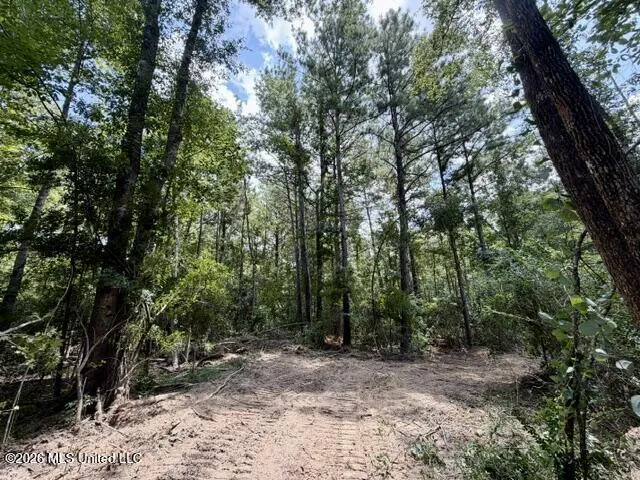 SE Lee Drive Bogue Chitto, MS 39629