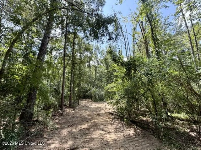 SE Lee Drive Bogue Chitto, MS 39629