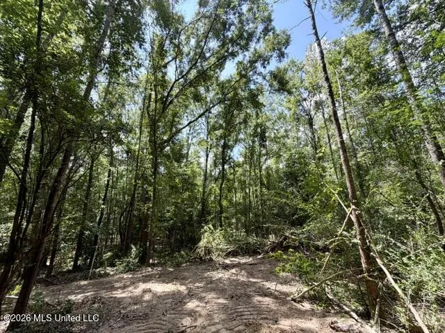 SE Lee Drive Bogue Chitto, MS 39629