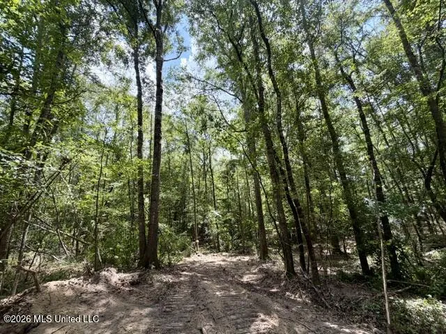 SE Lee Drive Bogue Chitto, MS 39629