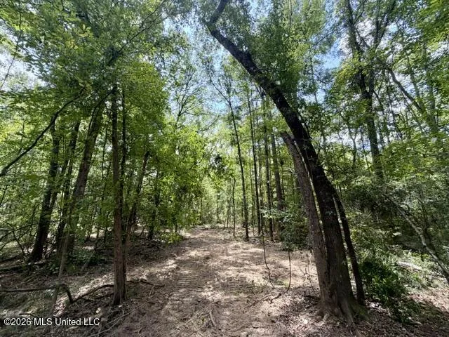 SE Lee Drive Bogue Chitto, MS 39629