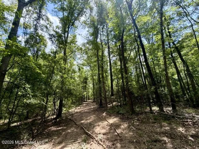 SE Lee Drive Bogue Chitto, MS 39629