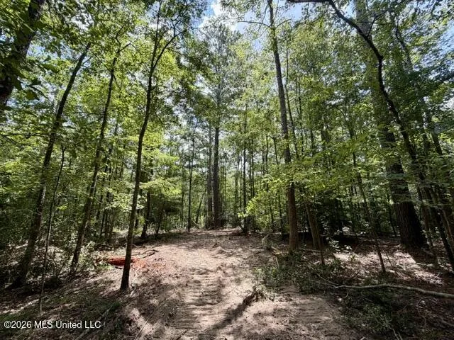SE Lee Drive Bogue Chitto, MS 39629