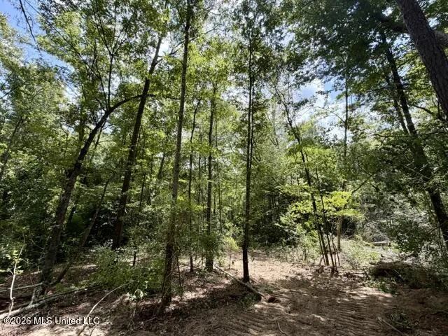 SE Lee Drive Bogue Chitto, MS 39629