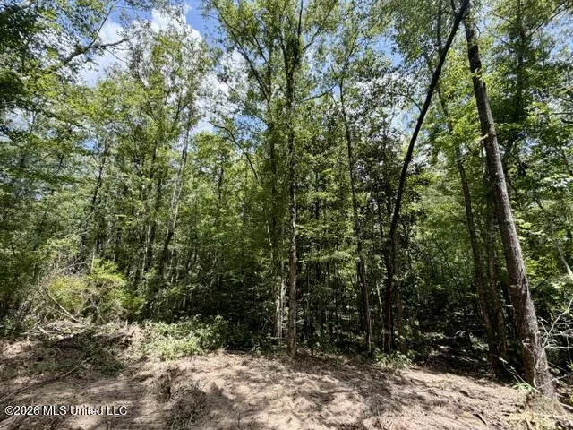 SE Lee Drive Bogue Chitto, MS 39629