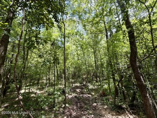 SE Lee Drive Bogue Chitto, MS 39629