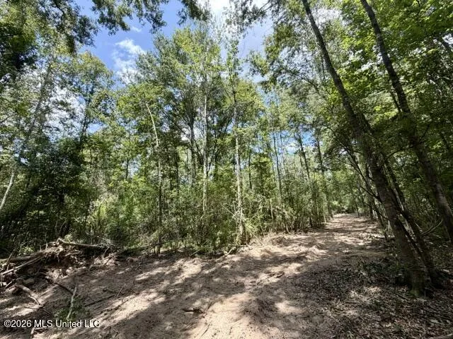 SE Lee Drive Bogue Chitto, MS 39629