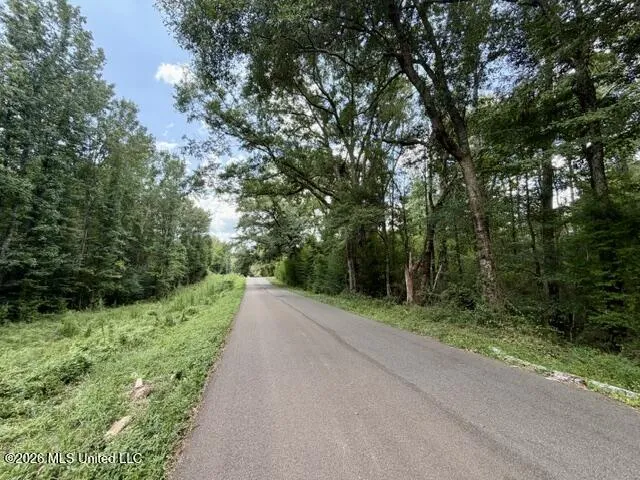 SE Lee Drive Bogue Chitto, MS 39629