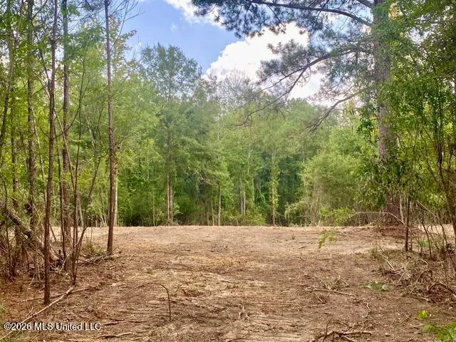 SE Lee Drive Bogue Chitto, MS 39629