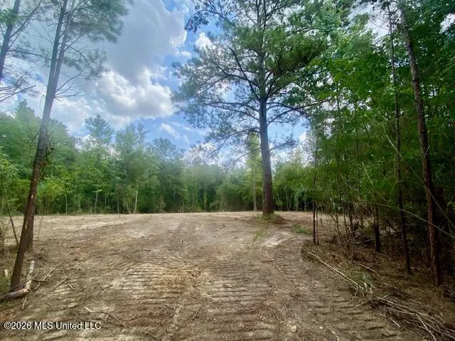 SE Lee Drive Bogue Chitto, MS 39629