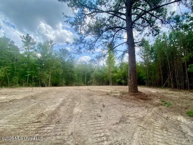 SE Lee Drive Bogue Chitto, MS 39629
