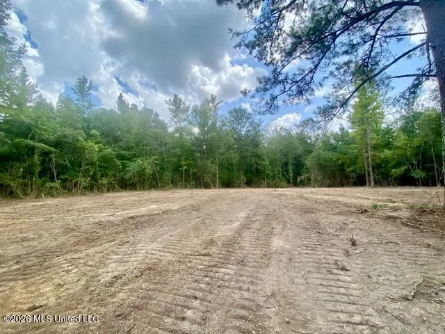 SE Lee Drive Bogue Chitto, MS 39629