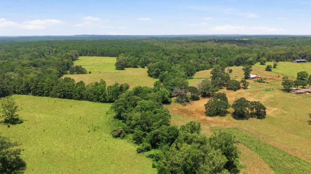 931 Private Road 5140 Grapeland, TX 75844
