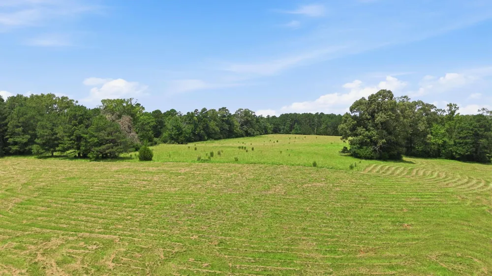 931 Private Road 5140 Grapeland, TX 75844
